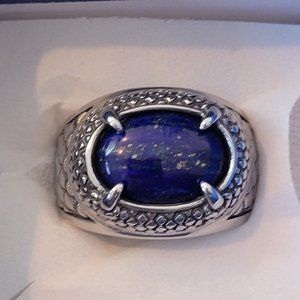 Lapis Lazuli Stainless Steel Men s Ring (Size 12) - 12.10 ctw.
